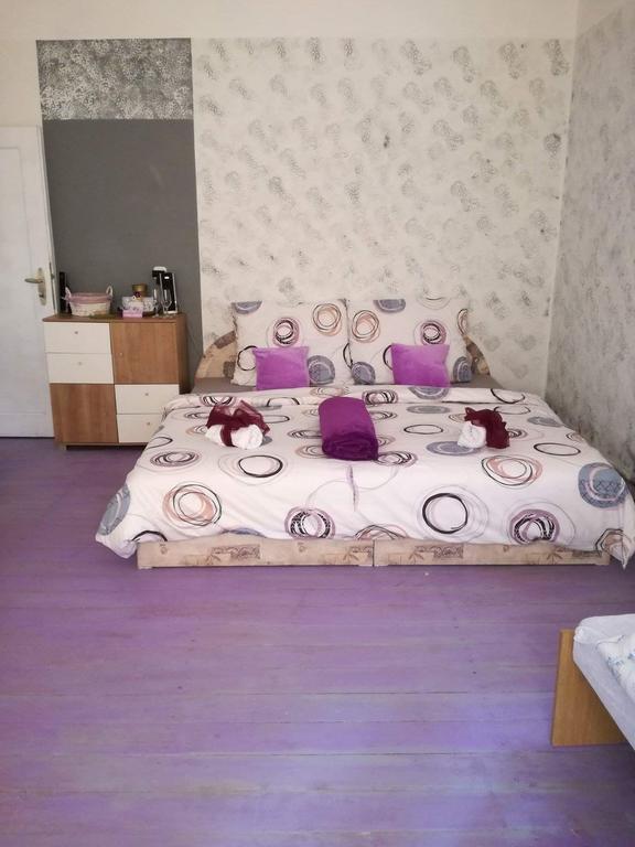 Vila Sazava المظهر الخارجي الصورة